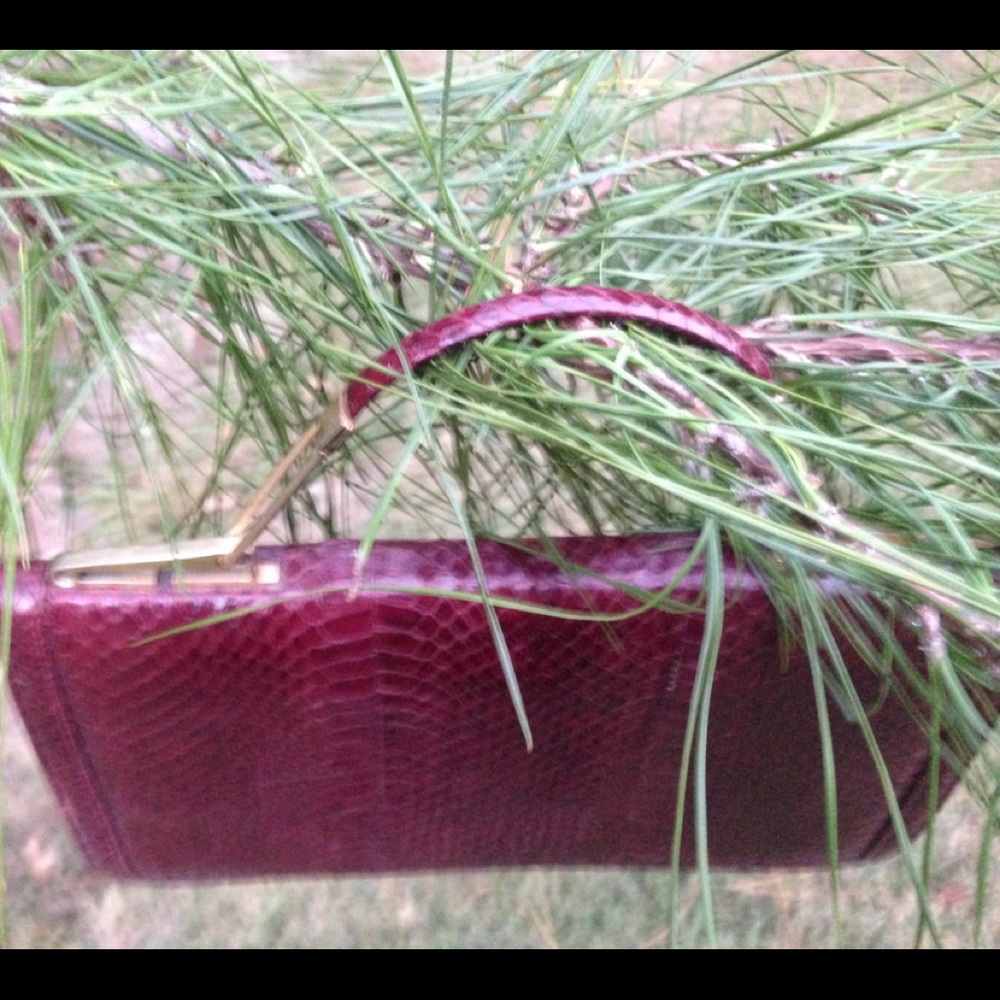 Vintage snakeskin clutch